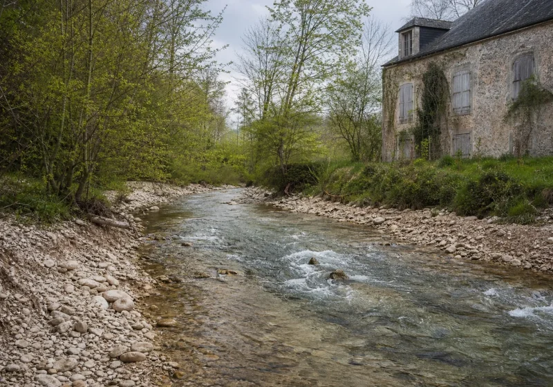 Rivière retrouvant un lit sinueux entre des berges fraîchement revégétalisées, après la suppression d'un barrage.