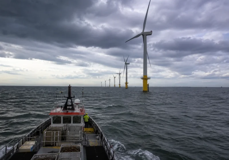 Rangée d'éoliennes en mer vues depuis une falaise de craie sur la côte normande.