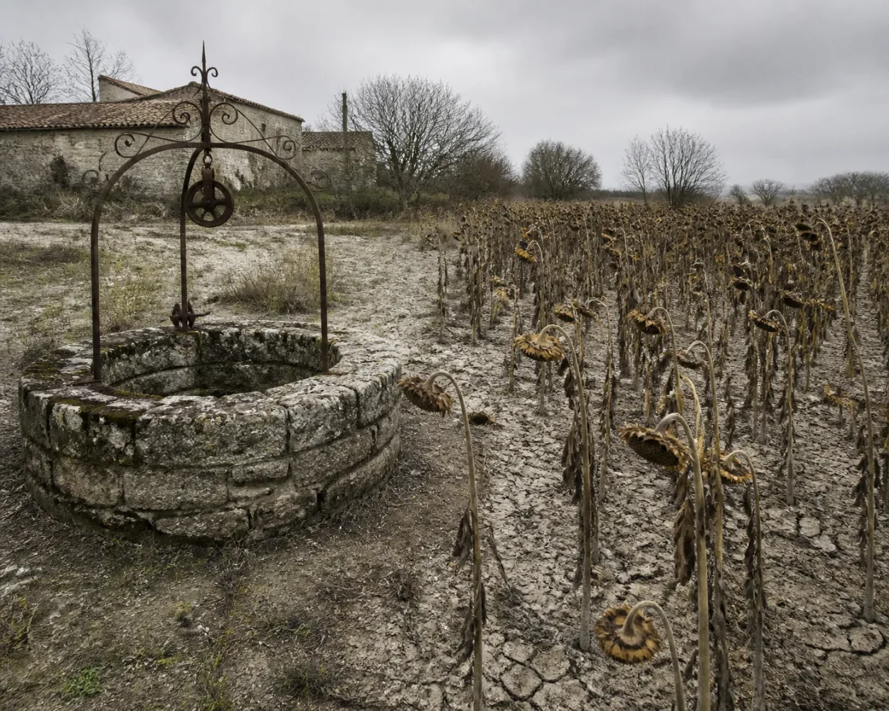 Piézomètre de suivi des eaux souterraines dans une plaine agricole en hiver, sous un ciel gris.