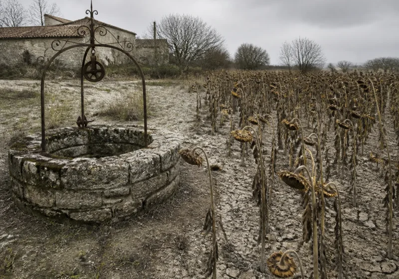 Piézomètre de suivi des eaux souterraines dans une plaine agricole en hiver, sous un ciel gris.